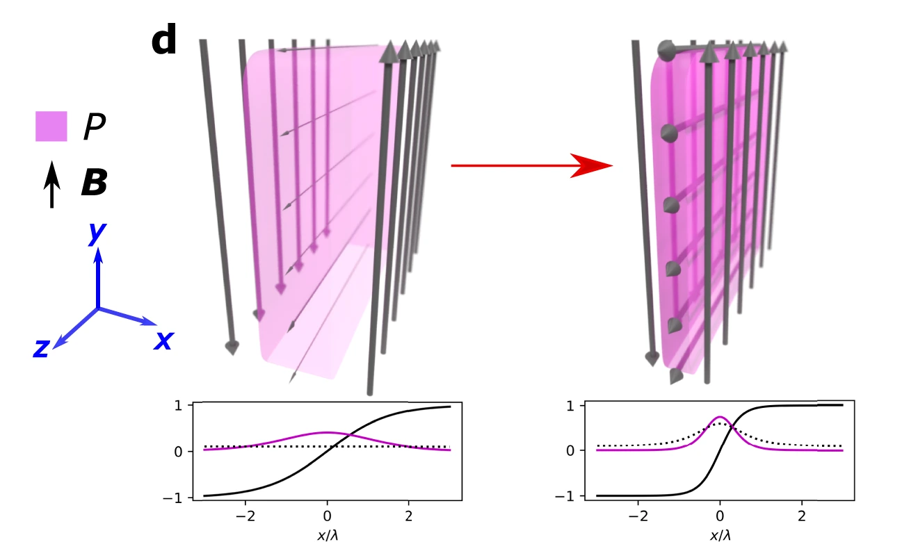 A disequilibrated Harris current sheet with a weak guide field relaxes into a mixed equilibrium with a locally amplified guide field